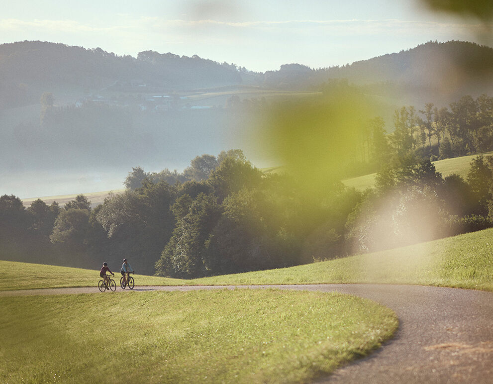 Zwei Frauen fahren mit dem Fahrrad bergab auf einer asphaltierten Straße. Im Hintergrund ist eine hügelige Landschaft und der Sonnenaufgang zu sehen.